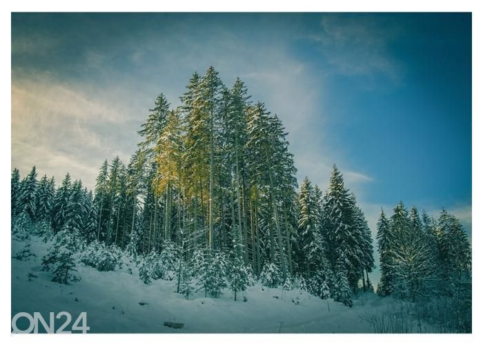 Флисовые фотообои Winter Forest 368x254 см увеличить