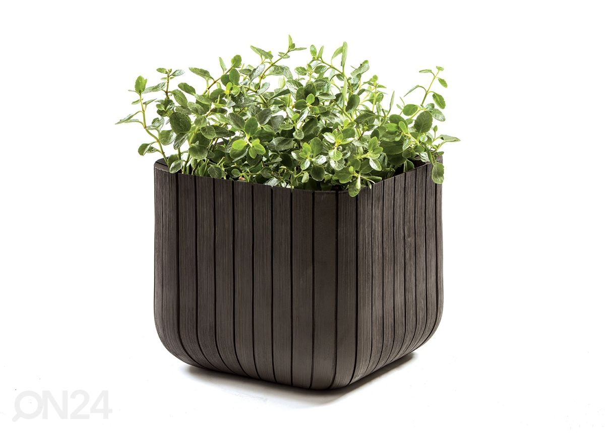 Цветочный горшок Keter Cube Planter, коричневый 30x30 cm увеличить