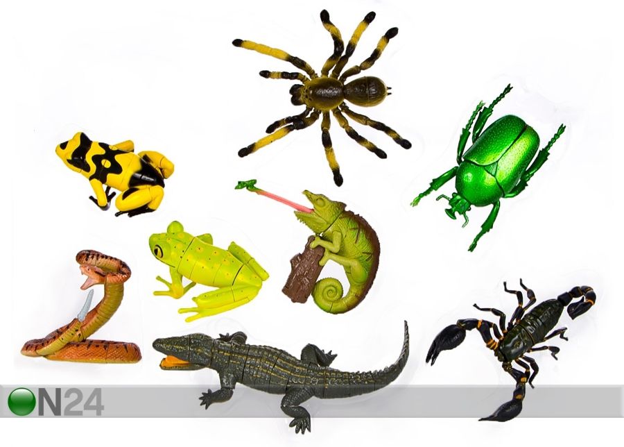 3D пазл Дождевой лес, рептилии и насекомые увеличить